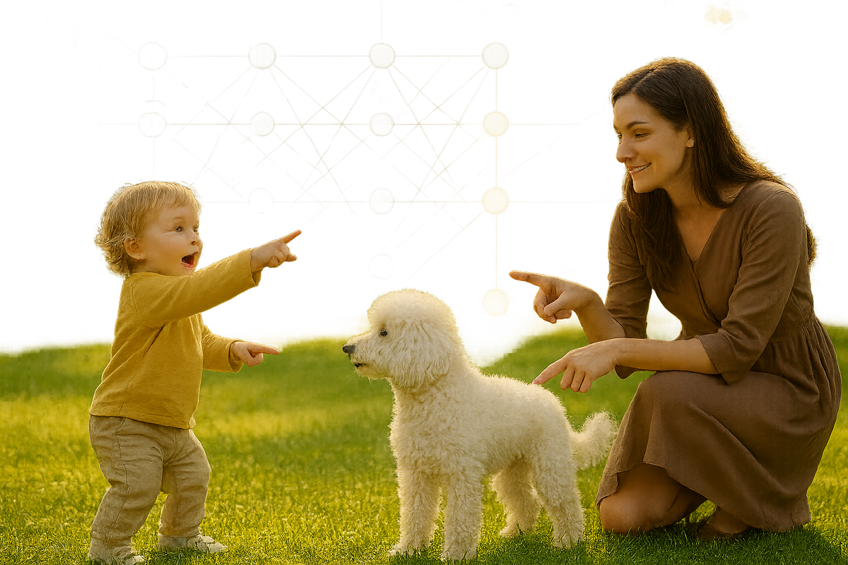 «Лосс-функция» в действии. Без этой обратной связи — мягкого исправления ошибки — ни один мозг, ни искусственный, ни биологический, не сможет научиться.