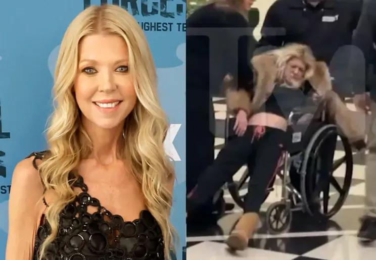 Фото из свободных источников.