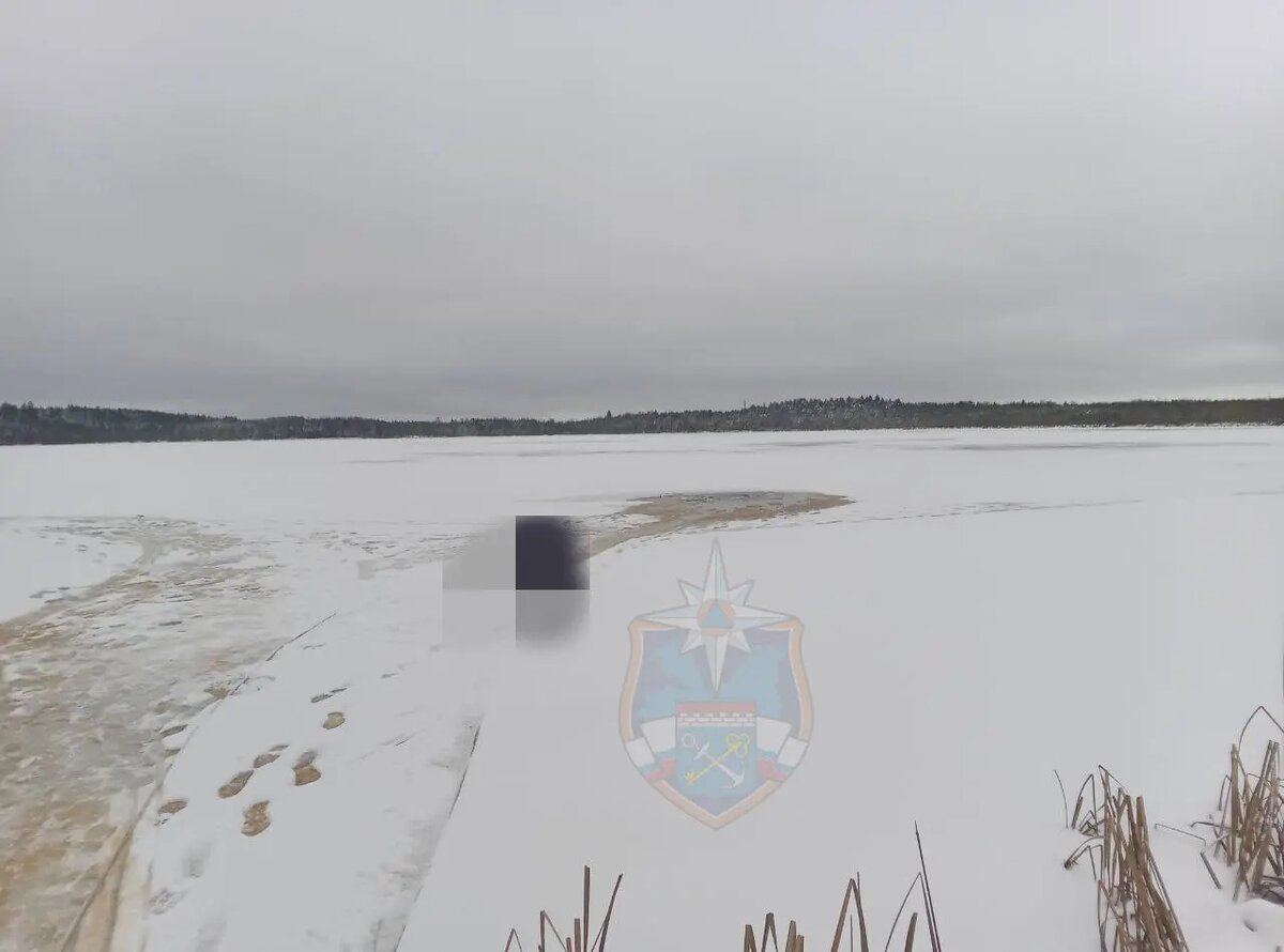    Фото: пресс-служба аварийно-спасательной службы Ленобласти