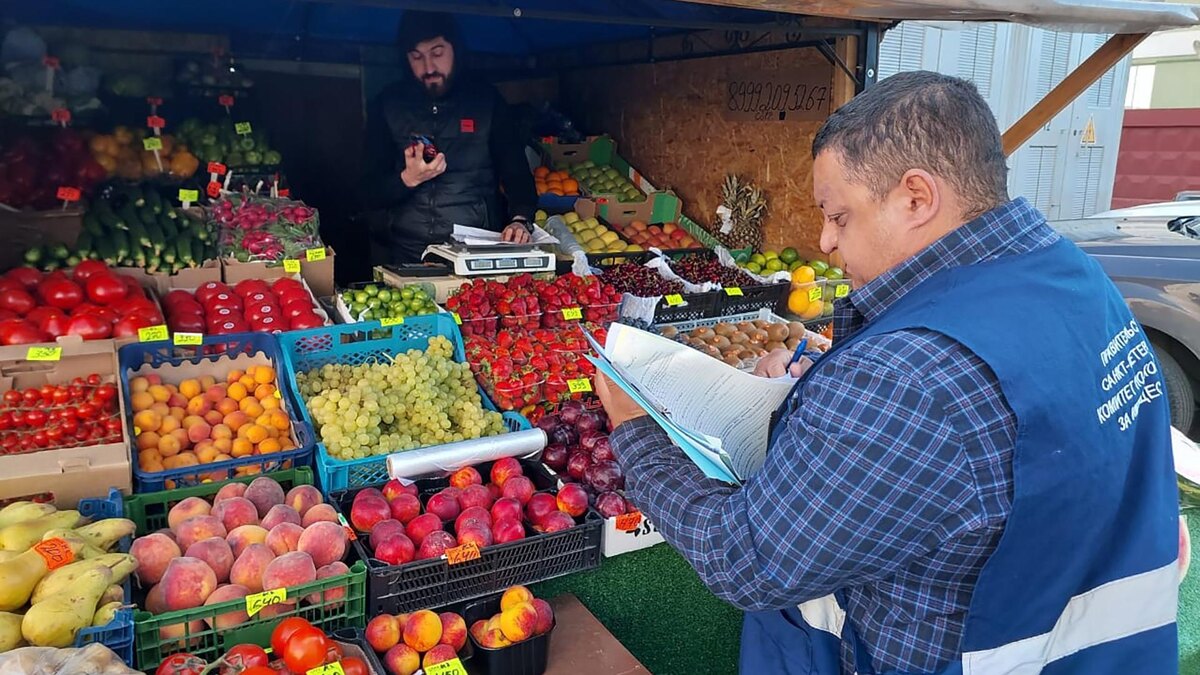    Фото: пресс-служба ККИ