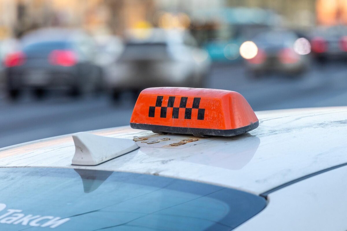 Фото: Олег Золото/«Петербургский дневник»