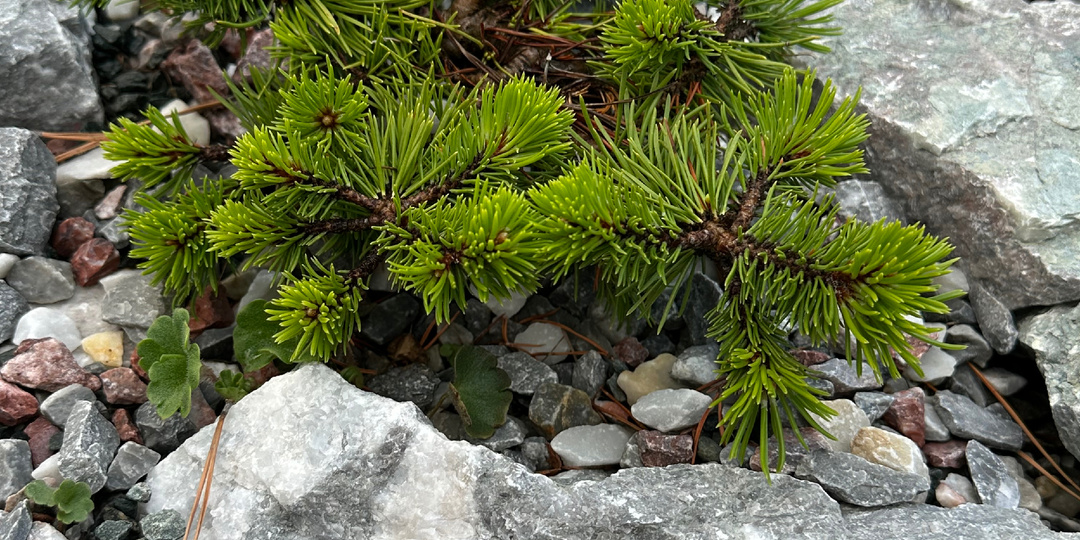 Как я делаю корыта из гипертуфа