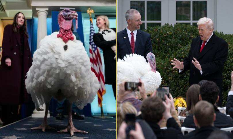    Источник: AP Photo/Julia Demaree Nikhinson / Getty Images | Дональд Трамп помиловал двух индюков
