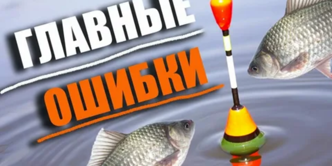 Почему у вас не клюет? 3 роковые ошибки при ловле карася, которые совершают 90% рыболовов