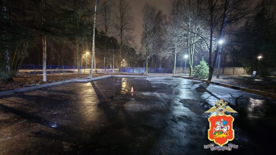    Фото: МВД Подмосковья