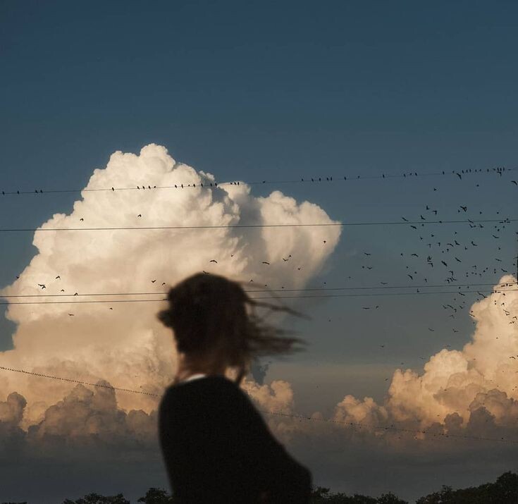 Обложка из приложения Pinterest