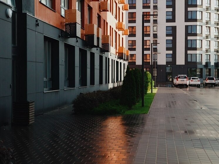     Фото: МК в Пензе