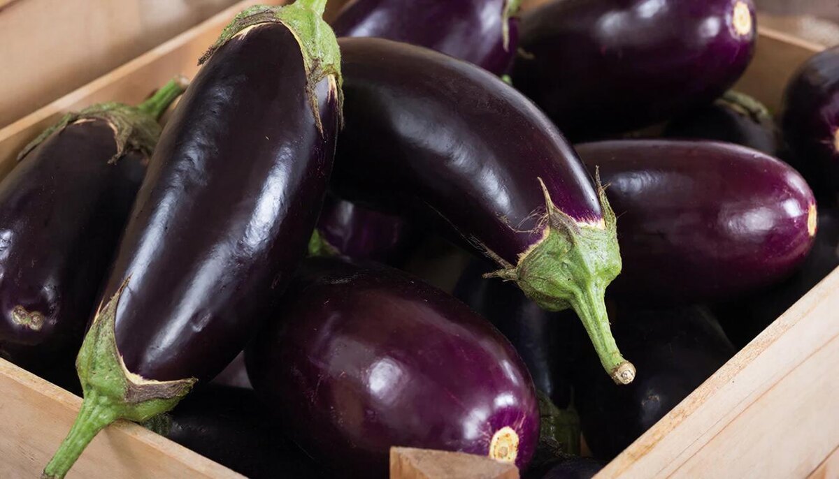    Фото сгенерировано нейросетью