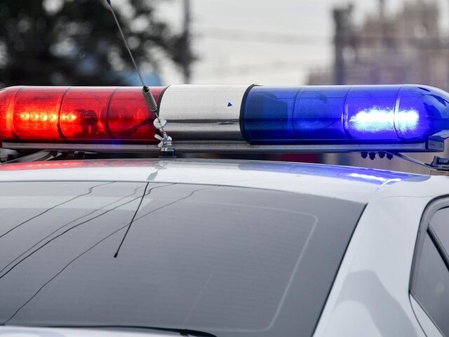    Фото: Москва 24/Антон Великжанин