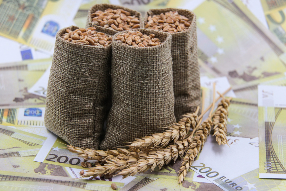    Сергей Булкин/NEWS.ru