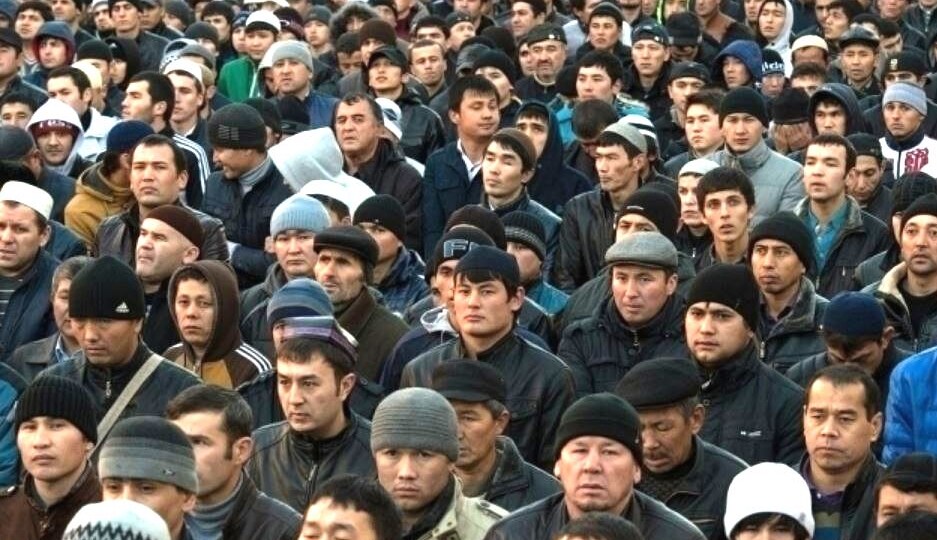 Мигрантам платят больше чем учителям. Значит вряд ли их станет меньше