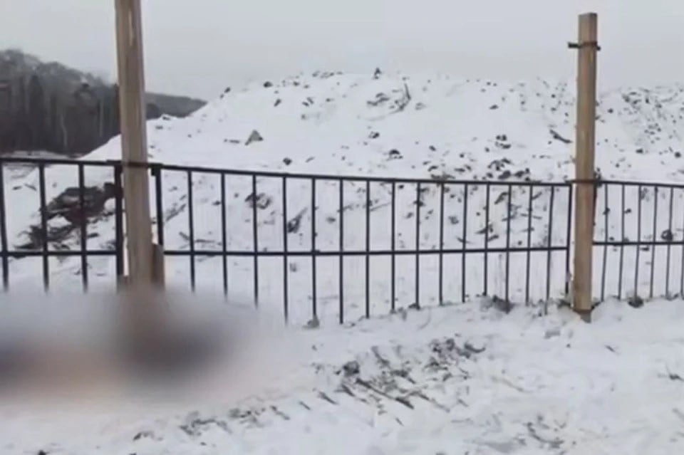 Фото с сайта irk.kp.ru