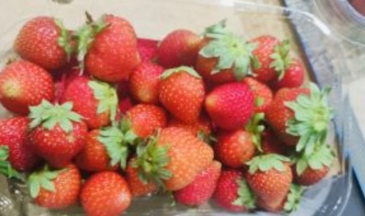    Фото: Управление Россельхознадзора по городу Москва, Московской и Тульской областям