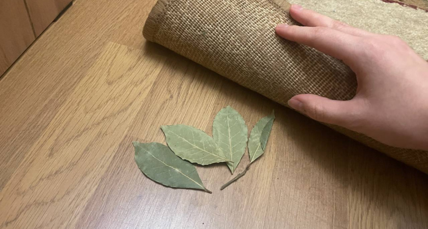    Автор фото - Анна Ефимова