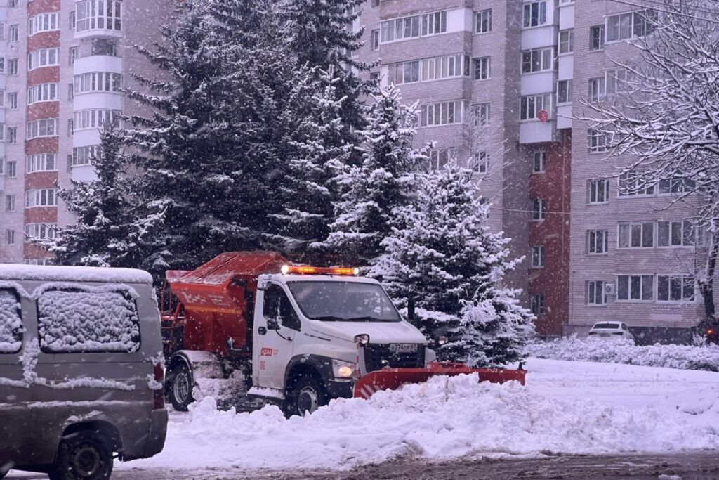    Фото: ВК-страница Александра Новикова