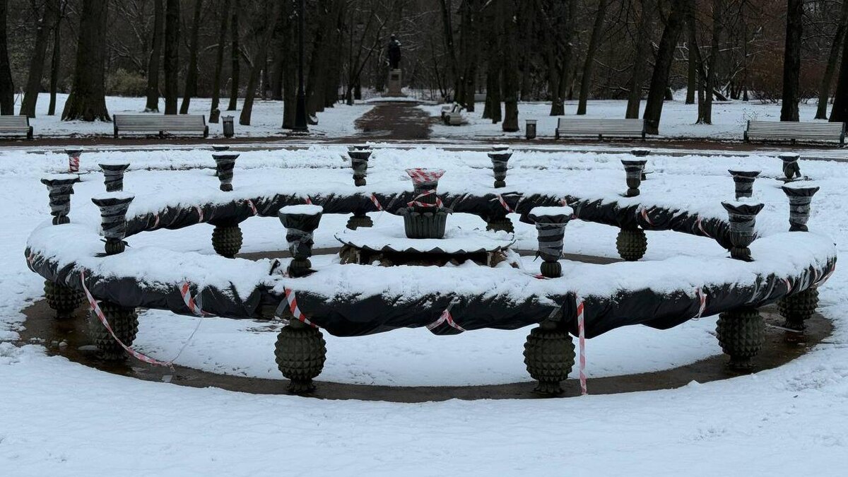    Фото: t.me/VDKSPB