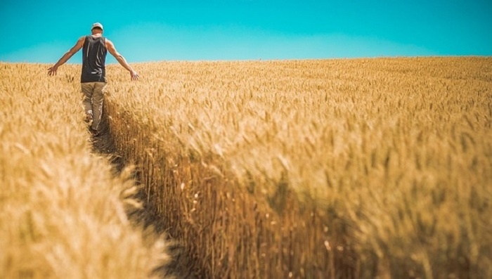    Российские мукомолы предупредили о фактическом исчезновении ржаного хлебопечения