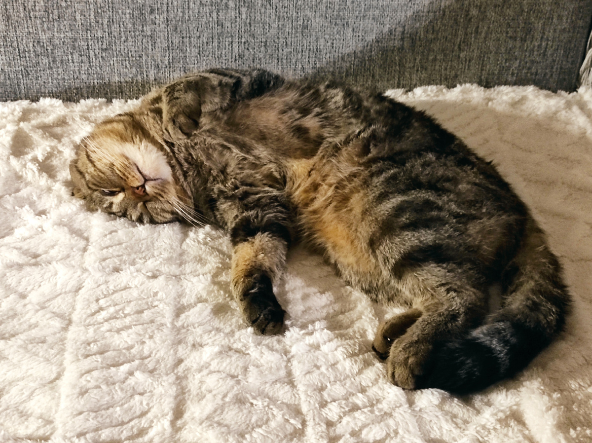 Щас как отдохну и всех спасу