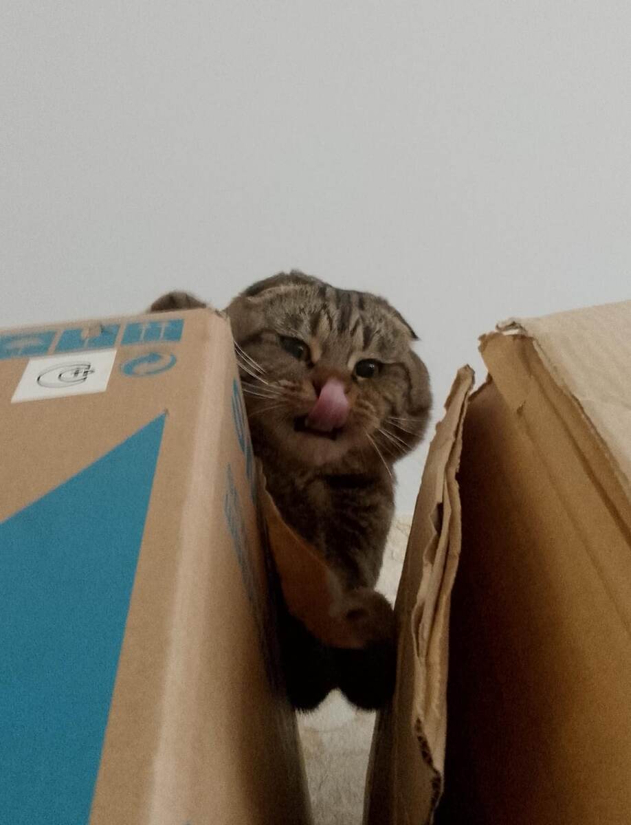 «Мне с верху видно всё! Ты так и знай» И вы знайте)