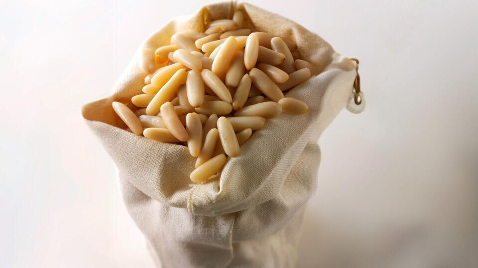 "Щелкунчик": мужчина украл почти 400 килограмм кедровых орехов в Забайкалье