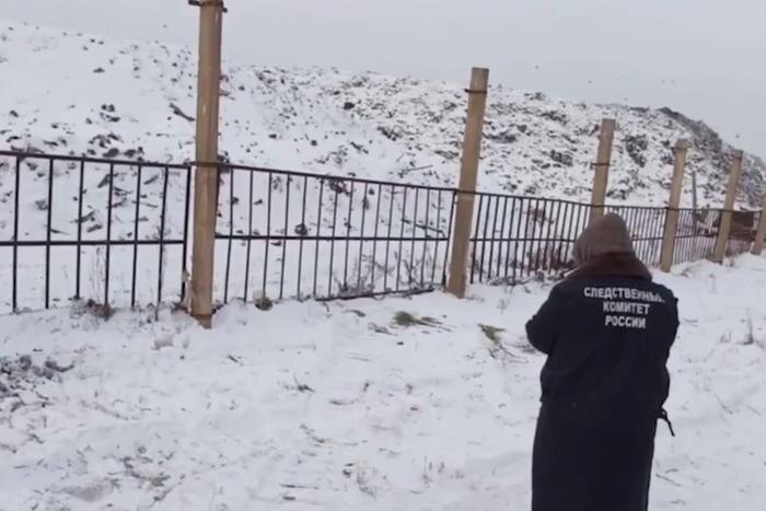 Стая бродячих собак загрызла сотрудника полигона отходов и напала на полицейских в Братске