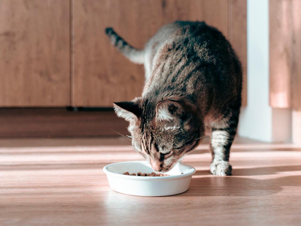    Фото: istockphoto.com/Irina Orlova