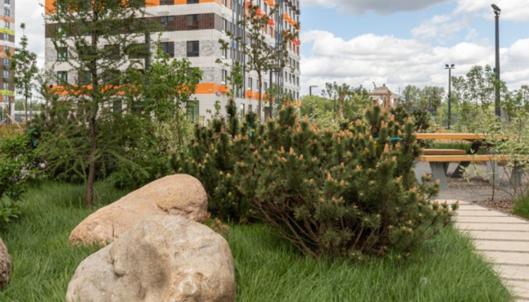    Фото: Градостроительный комплекс Москвы