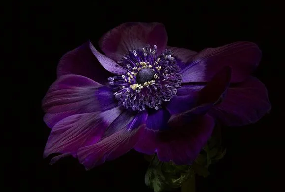 Из интернета.