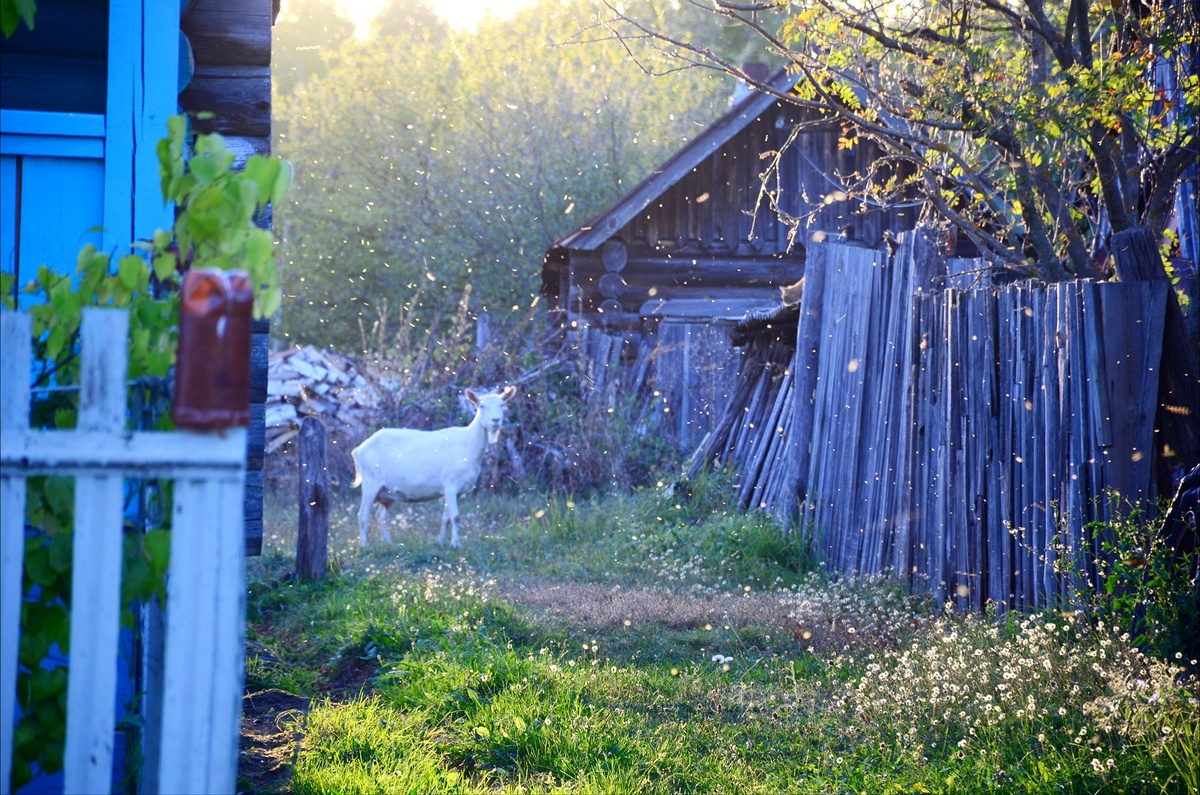 Вечер в деревне.