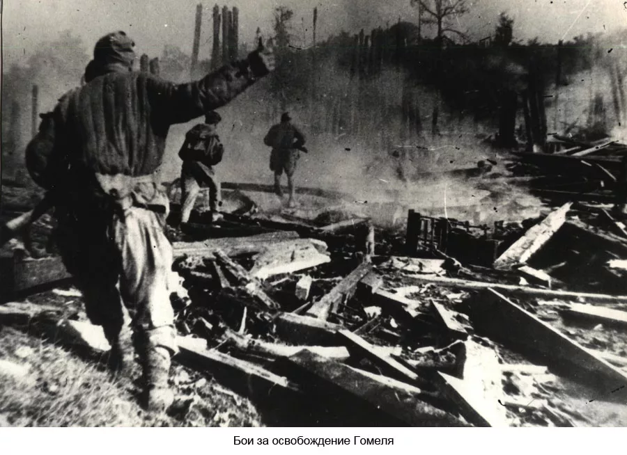 Источник: gomel.gov.by