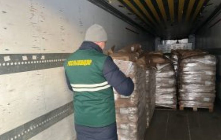    Фото: Россельхознадзор РФ