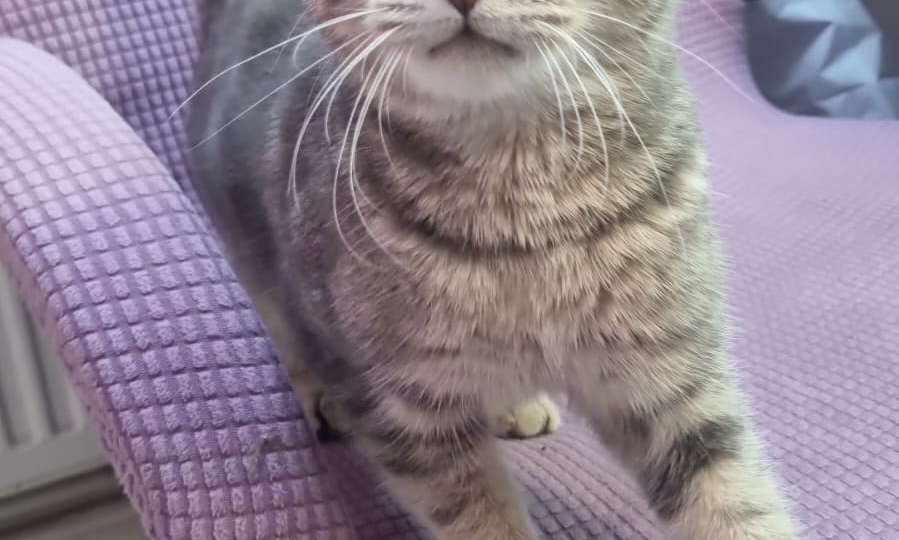 "Завтра" для нее может и не наступить