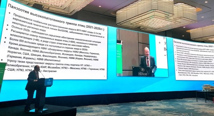    Фото: ФГБУ «ВНИИЗЖ»