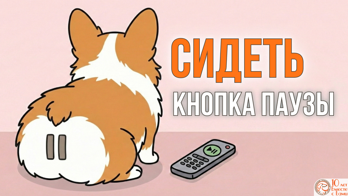 Команда «Сидеть» для собаки работает как кнопка паузы для нервной системы вашего пса, мгновенно переключая его из режима паники в режим внимания | Иллюстрация: DogSelf