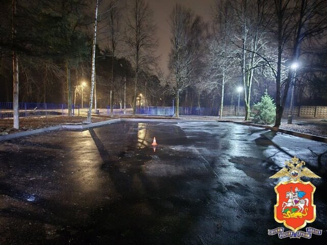    Фото: телеграм-канал "Подмосковная полиция"