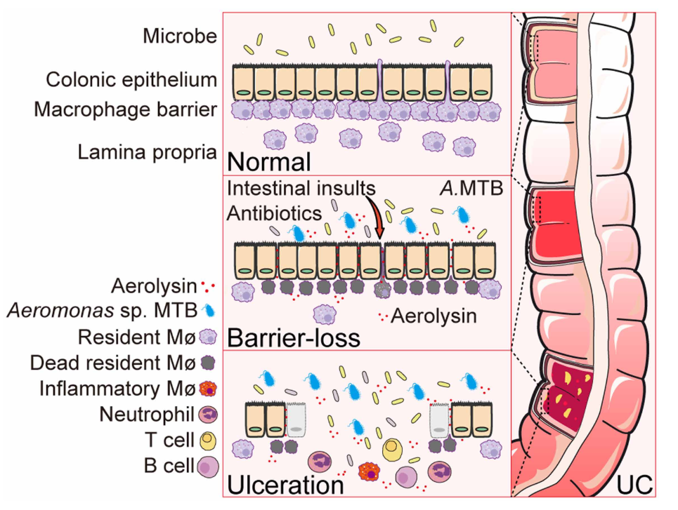   Zhihui Jiang et al. / Science, 2025