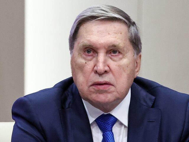    Фото: ТАСС/Александр Казаков