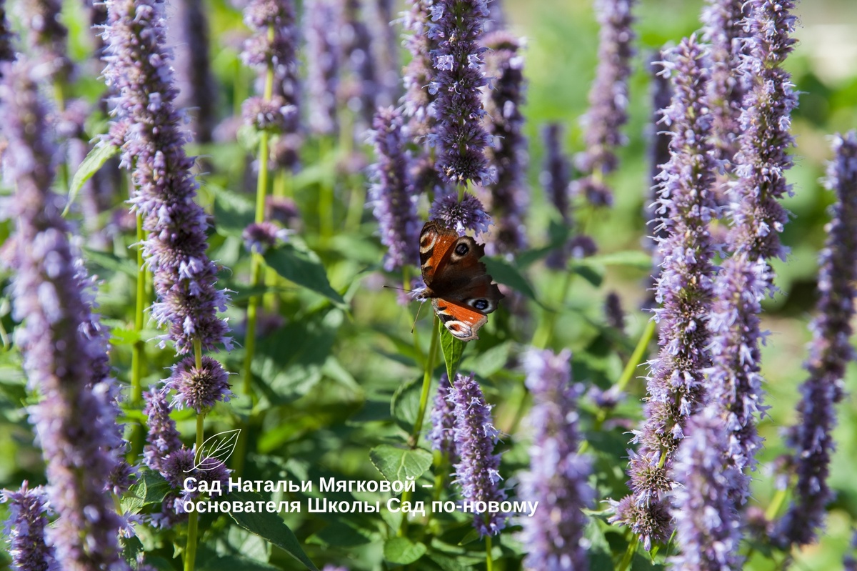 Листайте галерею по стрелке вправо 
