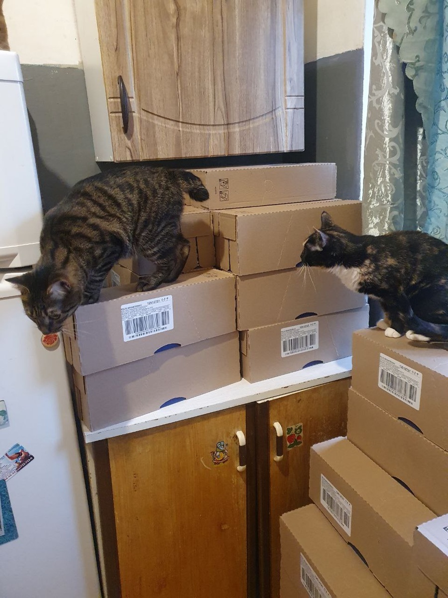 Трейся, погляди, хвост хорошо видно?