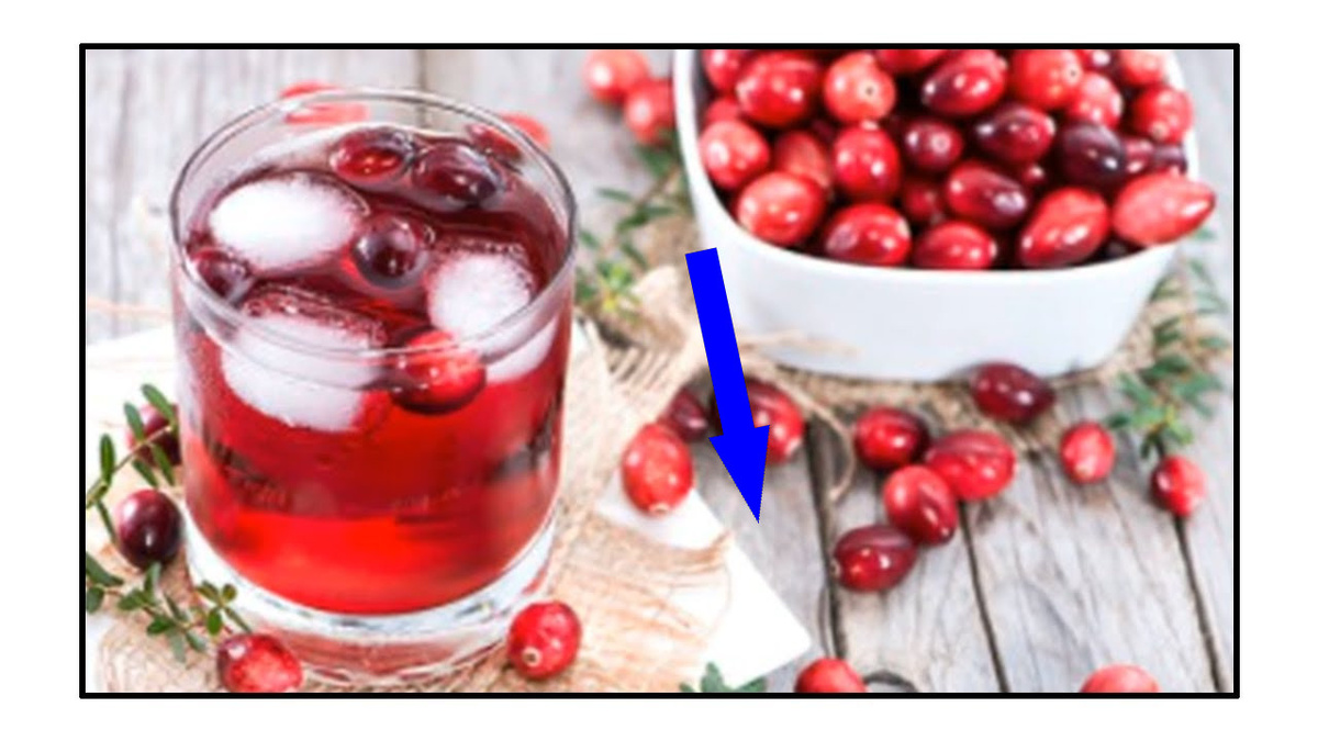    Тайный рецепт брусничного морса с корицей, который передавали охотники из поколения в поколение