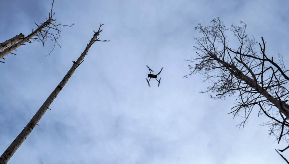    Социальные сети