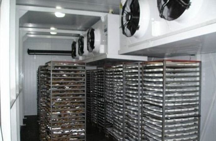 Шоковая заморозка это не дешовый процесс, но продукт сохраненяет свежесть долго.