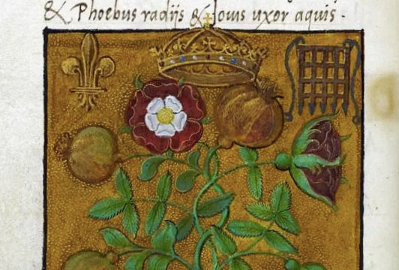 Неувядающий символ Екатерины Арагонской и Генриха VIII - испанский гранат и роза Тюдоров