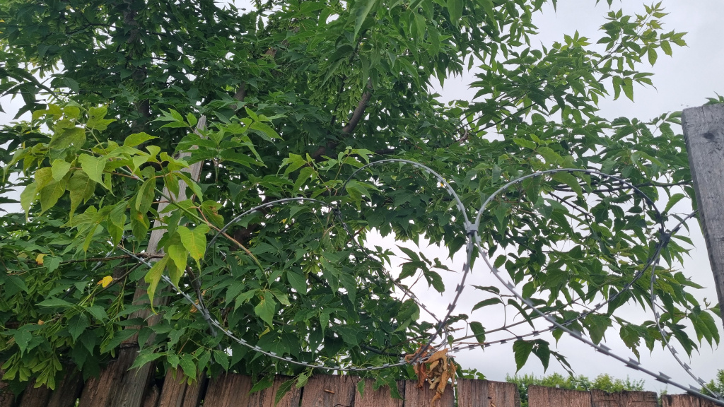    Житель Пыть-Яха осужден на два года колонии строгого режима за неуплату алиментов