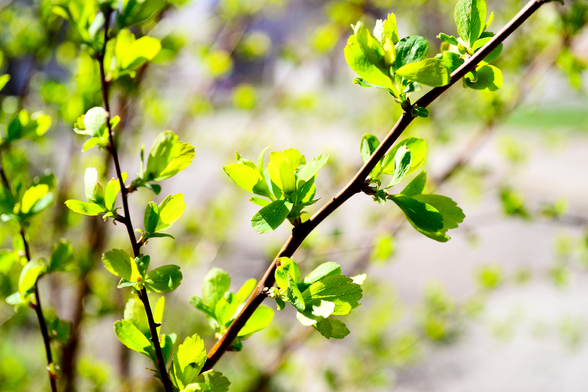 взято с просторов инета