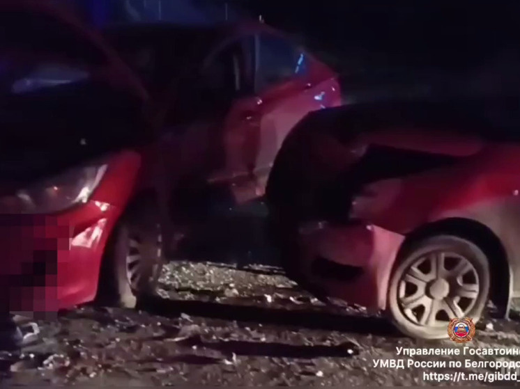     В Белгороде столкнулись «Хендай» и «Шкода»: пострадали мужчина и женщина, фото: скриншот видео со страницы t.me/gibdd_31