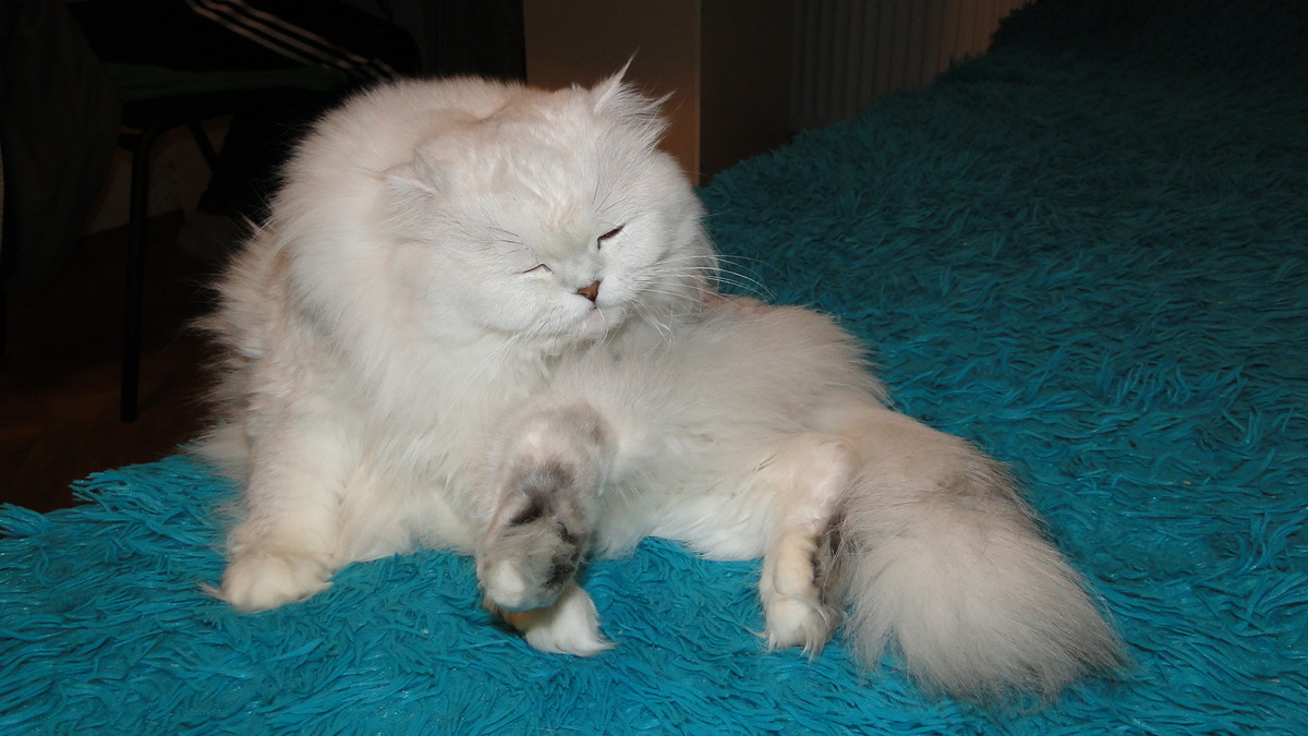 Фото из личного архива