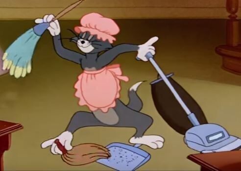 вечер котов 