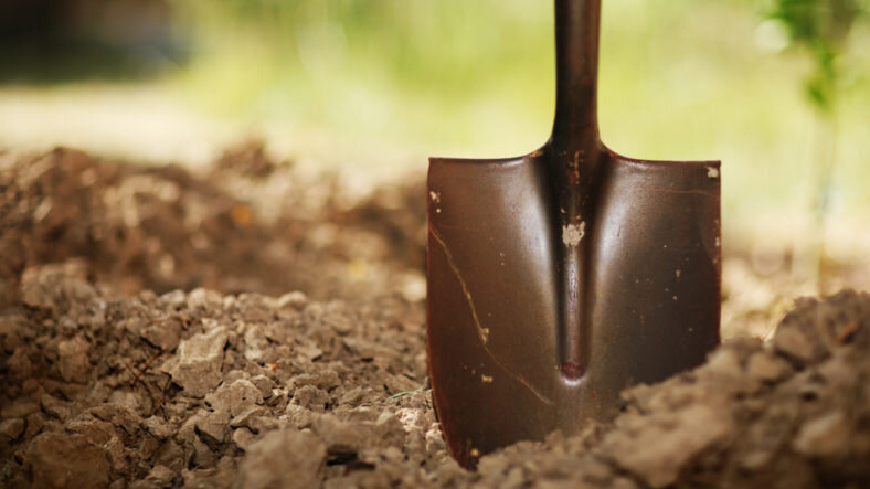 Моя лопата отдыхает уже четвертый год подряд