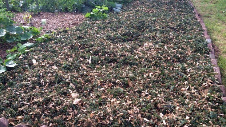 Вместо перекопки - мульчирование толщиной 8-10 см